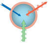 The Fluorosome Technique